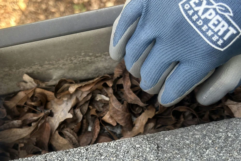 Gutter Cleaning McLeansville